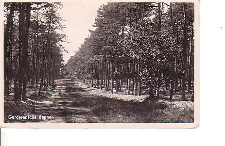 Ansichtkaart	Garderen	Garderensche dennen, Verzamelen, Ansichtkaarten | Nederland, Verzenden, 1940 tot 1960, Gelopen, Gelderland