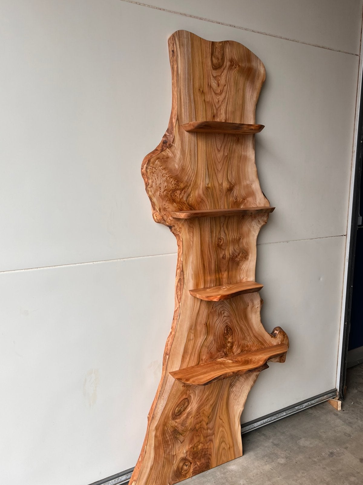Wandmeubel iephout, Ophalen, Met plank(en), 200 cm of meer, Nieuw