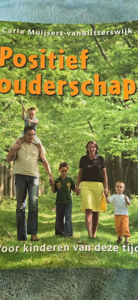 C. Muijsert-van Blitterswijk - Positief ouderschap, Achtergrond en Informatie, Ophalen of Verzenden, Zo goed als nieuw, C. Muijsert-van Blitterswijk