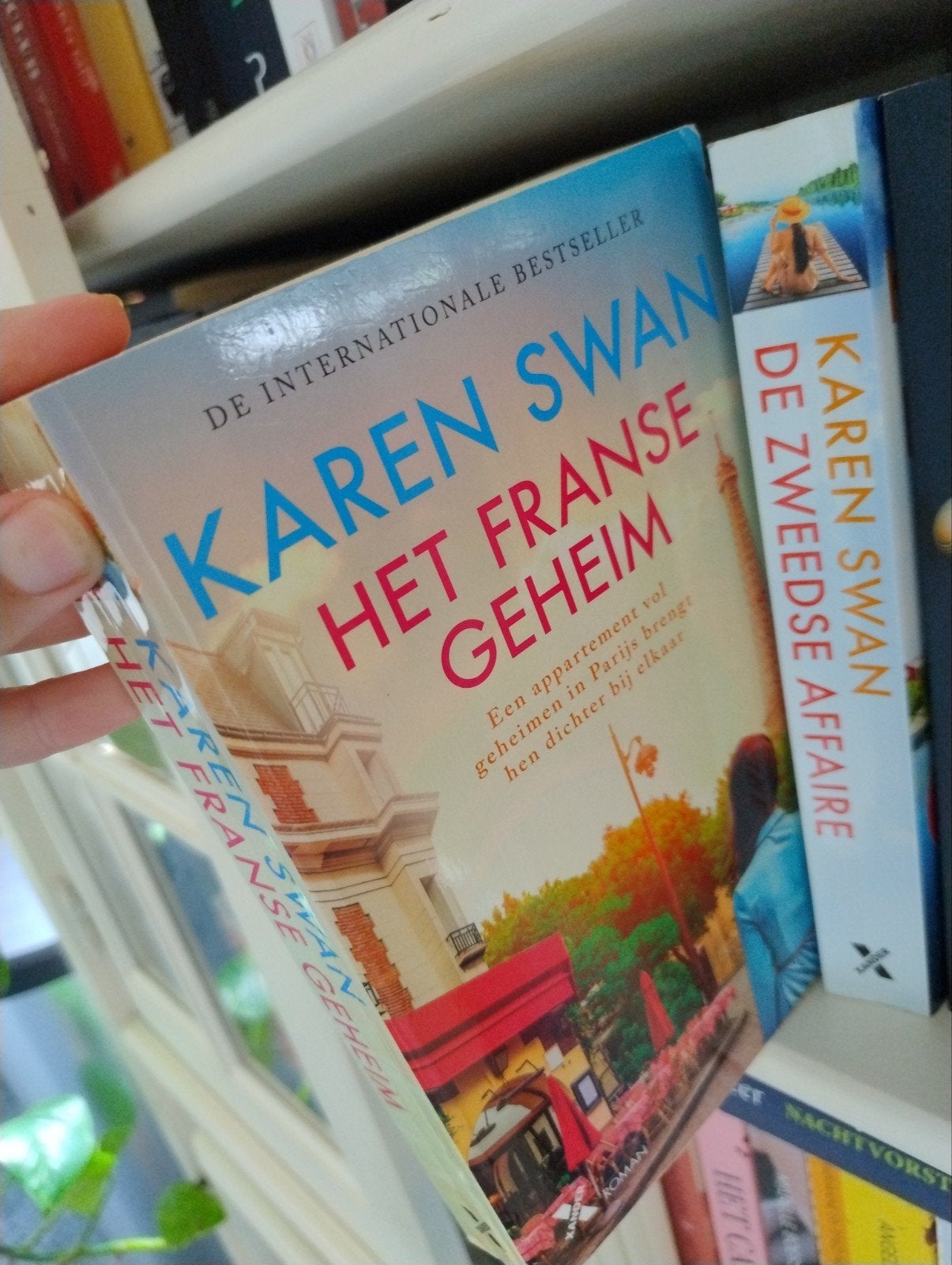 Karen Swan - De Zweedse Affaire & Het Franse Geheim, Boeken, Ophalen of Verzenden, Zo goed als nieuw, Karen Swan, Europa overig