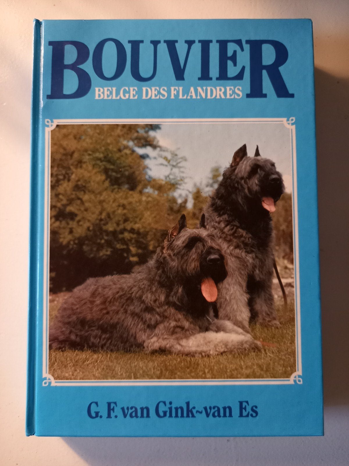 h30 Bouvier - G.F. van Gink-van Es, Ophalen of Verzenden, Gelezen, Honden