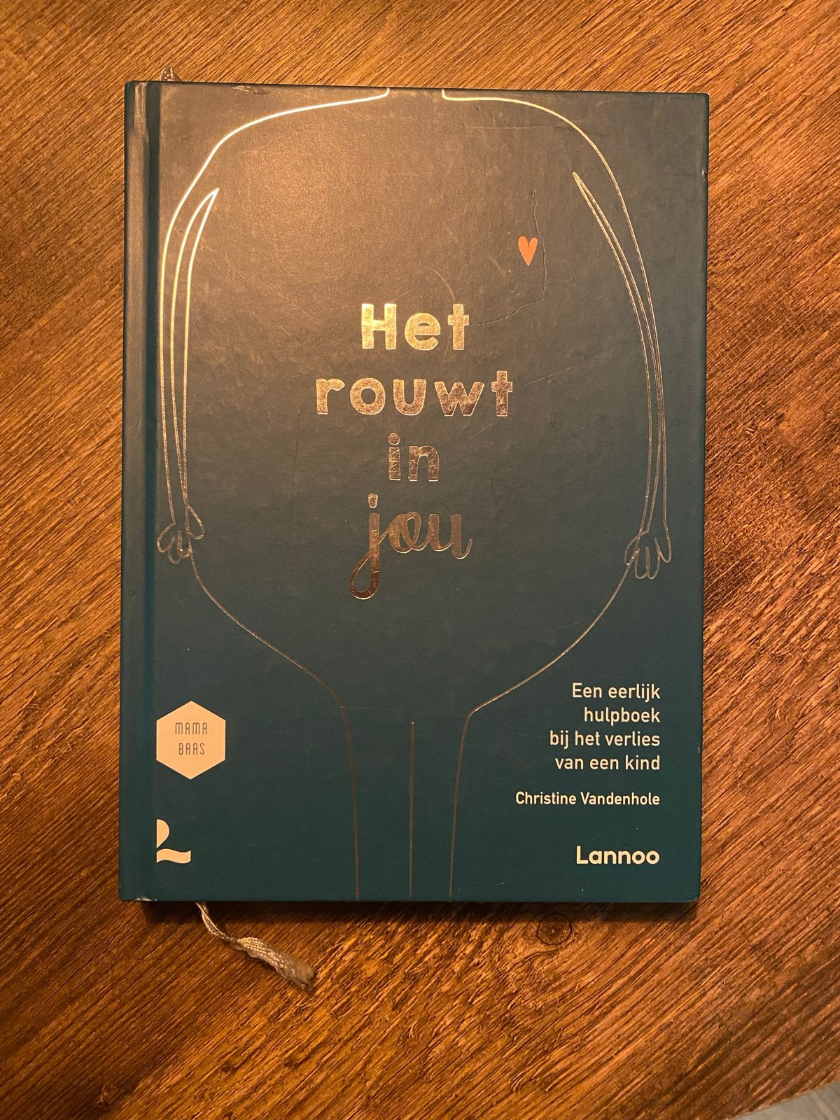 Het rouwt in jou - Christine Vandenhole, Ophalen of Verzenden, Zo goed als nieuw, Overige