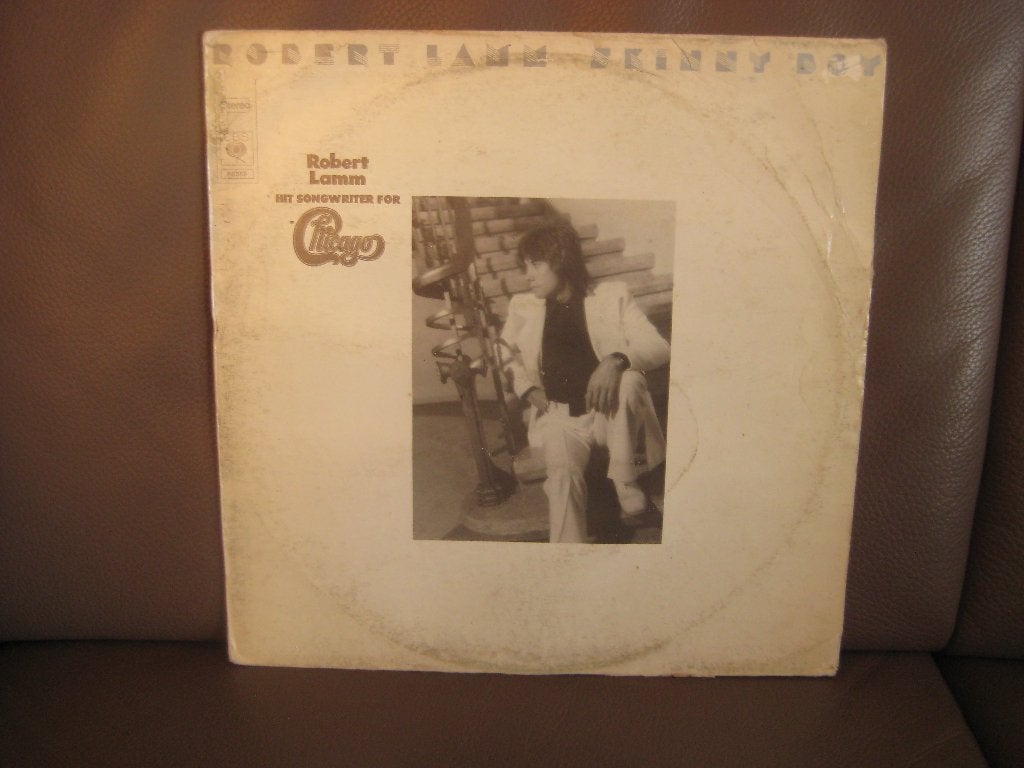 Robert Lamm – Skinny Boy, LP, Ophalen of Verzenden, Zo goed als nieuw, 12 inch