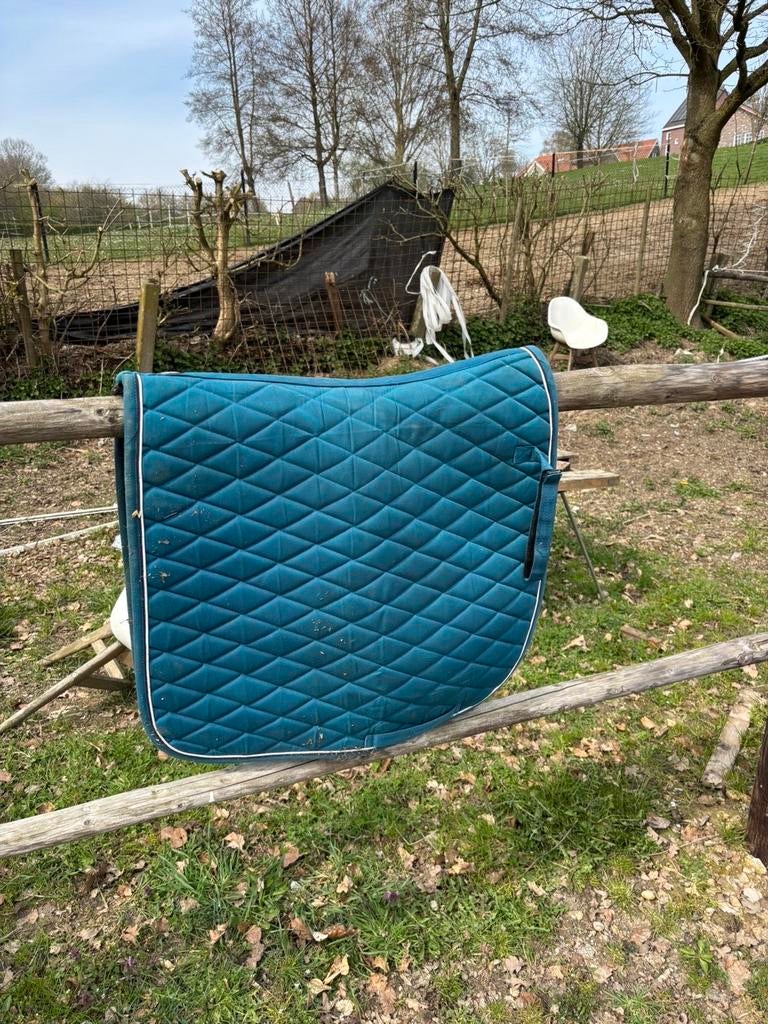 Verschilde paarden spulln te koop, Dieren en Toebehoren, Ophalen of Verzenden, Overige soorten