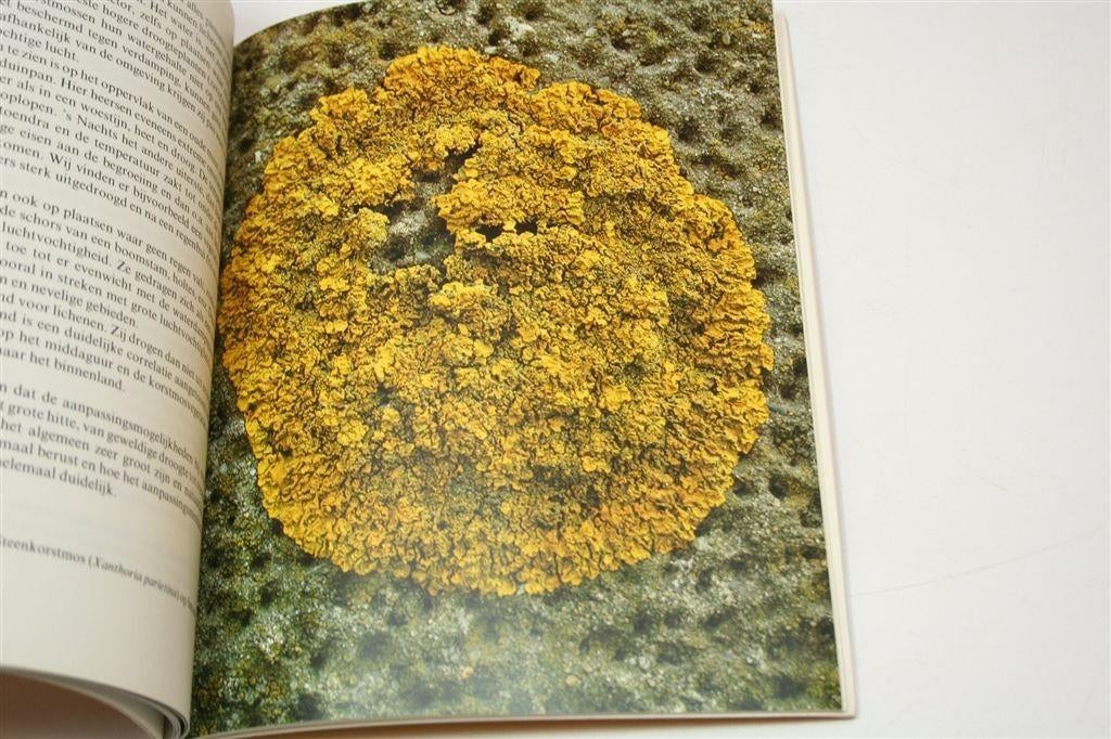 Korstmossen — Wonderlijke Planten uit de Natuur, Ophalen of Verzenden, Gelezen, Bloemen, Planten en Bomen