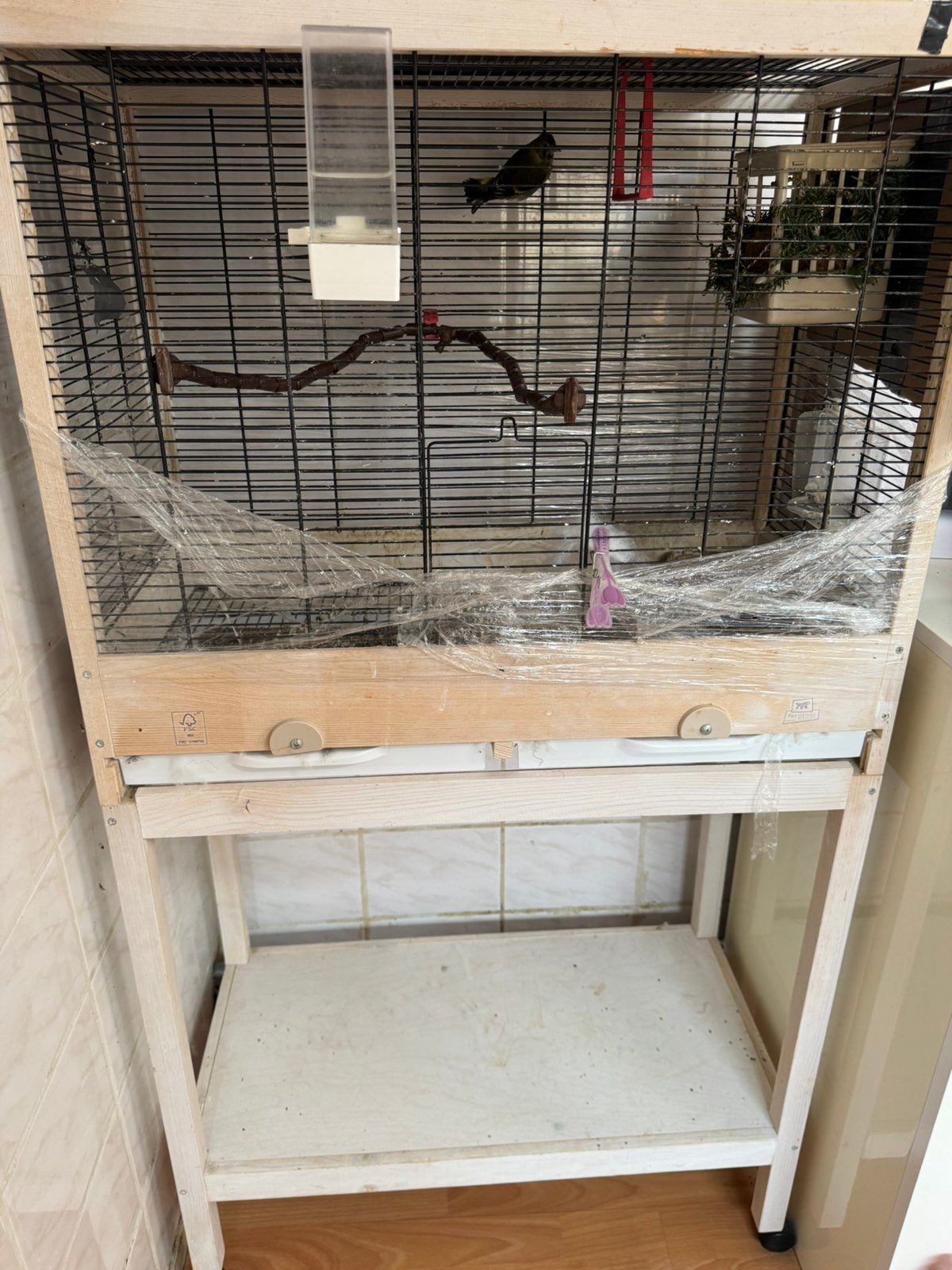 Zwartkop sijs, Dieren en Toebehoren, Ophalen, Zo goed als nieuw, Aluminium, Vogelkooi