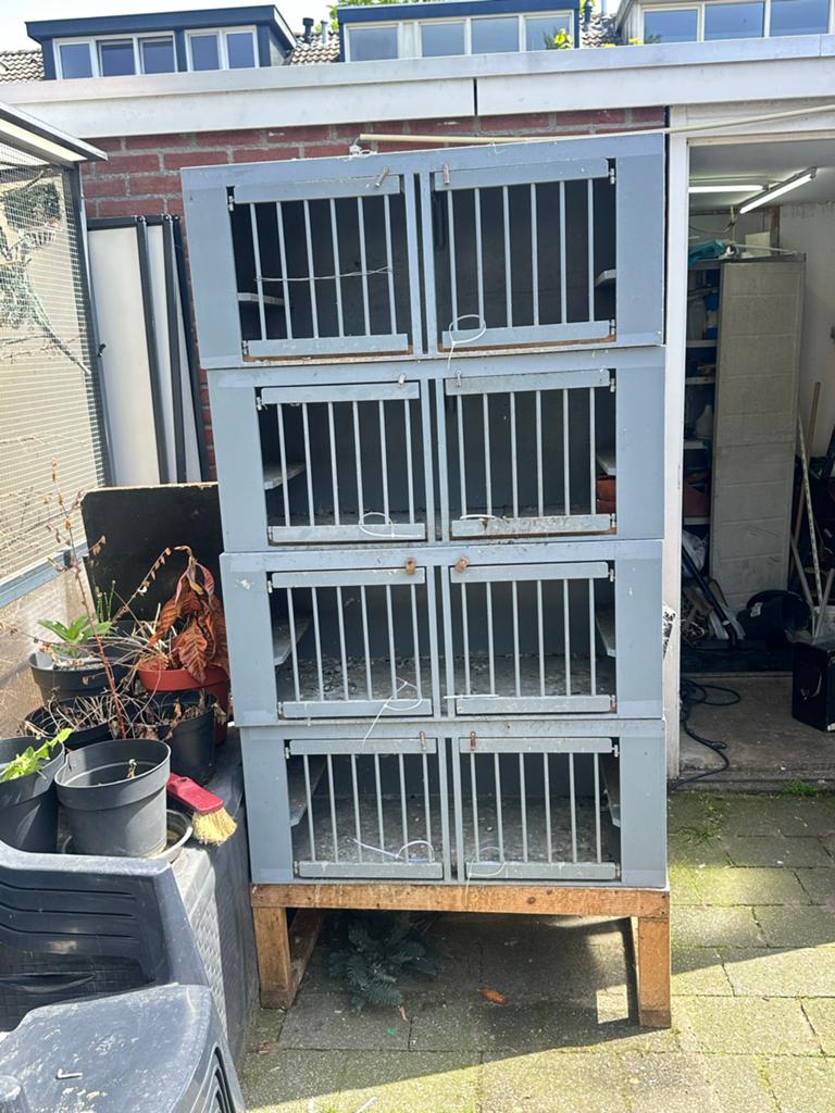 Duivenhokken, Dieren en Toebehoren, Meerdere dieren, Overige soorten