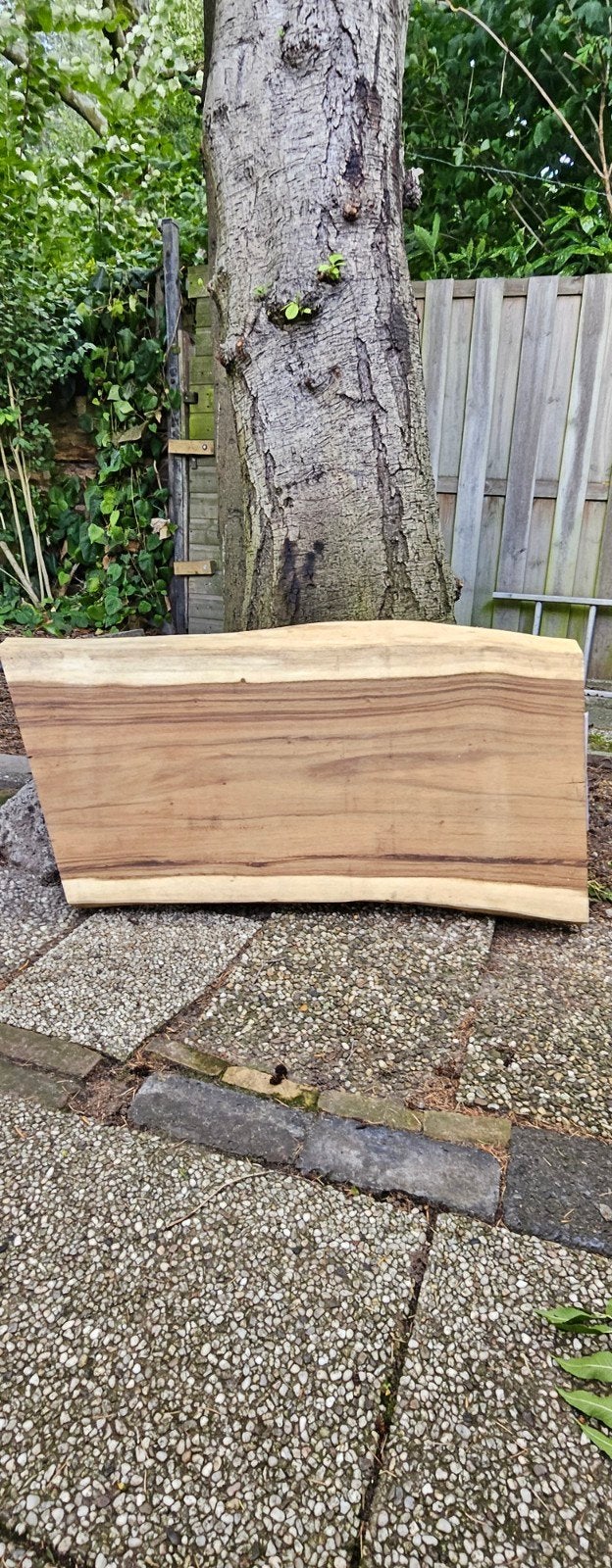 Massief suar houten live edge blad – 94,5 x 53,5 – dikte 6cm, Ophalen, Zo goed als nieuw, Plank, 50 mm of meer