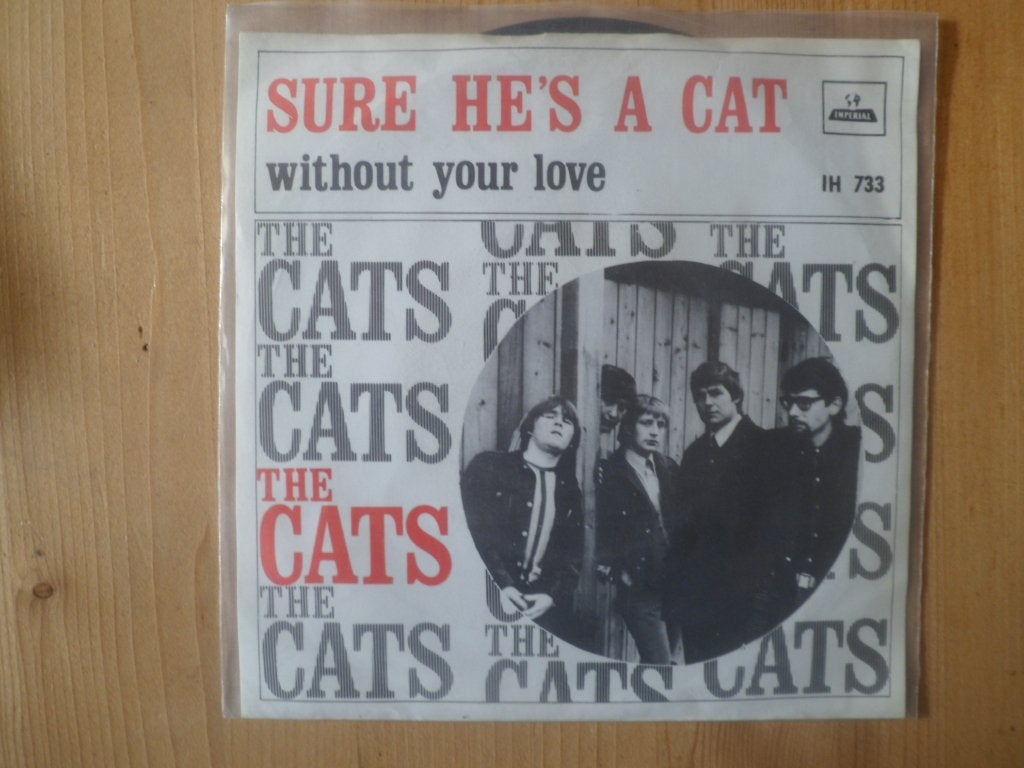 Cats, Ophalen of Verzenden, Gebruikt, 7 inch, Pop