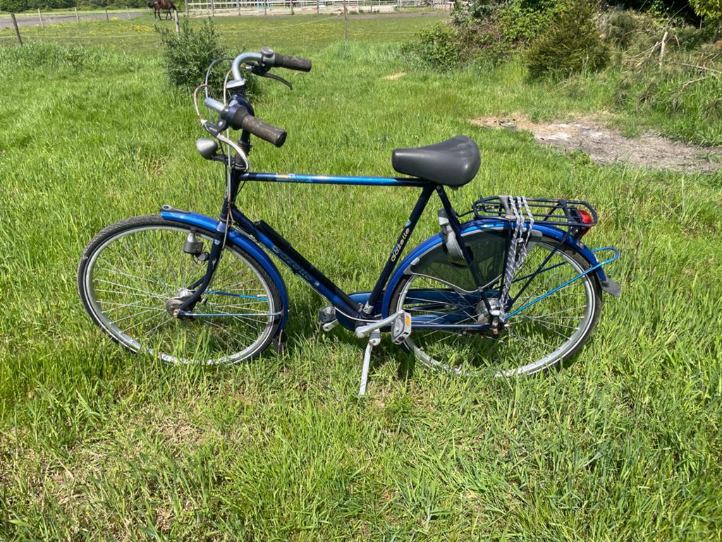 Gazelle Free heren fiets - Blauw, Gebruikt, Ophalen, Gebruikt, Gazelle, Versnellingen