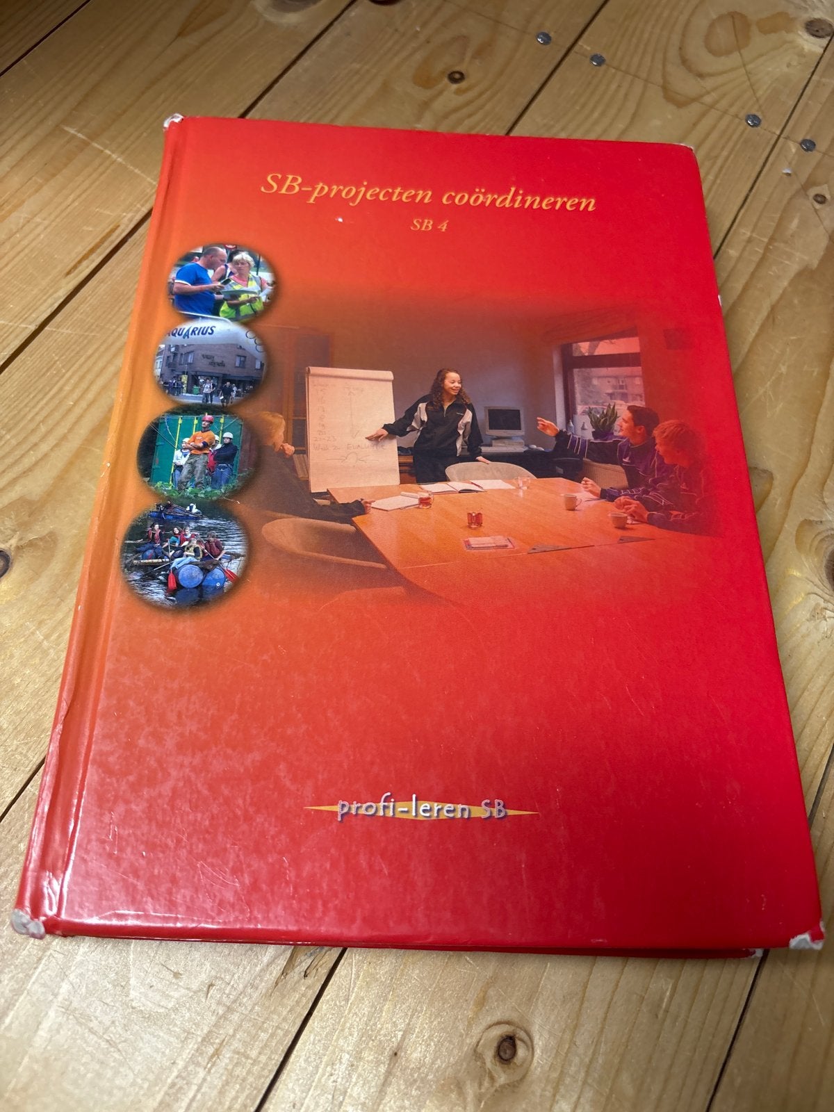 SB-projecten coördineren SB 4 - Profi-leren SB, Boeken, Ophalen of Verzenden, Gamma, Gelezen, MBO
