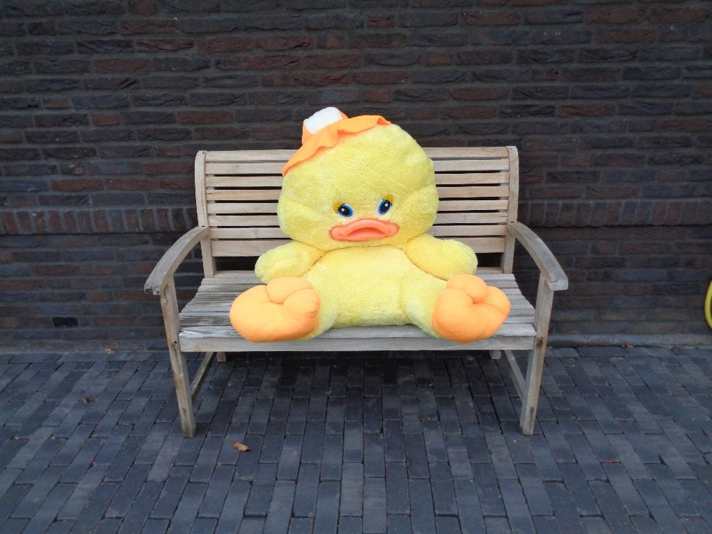 Knuffel eend  Pluche eend, Disney, Ophalen, Gebruikt, Eend