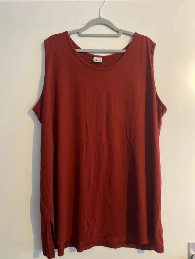 shirts/blouse, Kleding | Dames, Ophalen of Verzenden, Nieuw, Meerkleurig, Shirt of Top