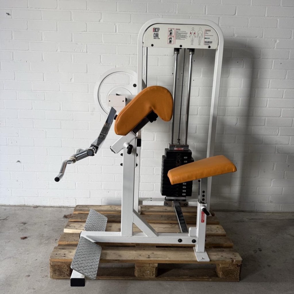 Paramount bicep curl/ bizeps/ bizep / preacher, Gebruikt, -, -, Overige typen