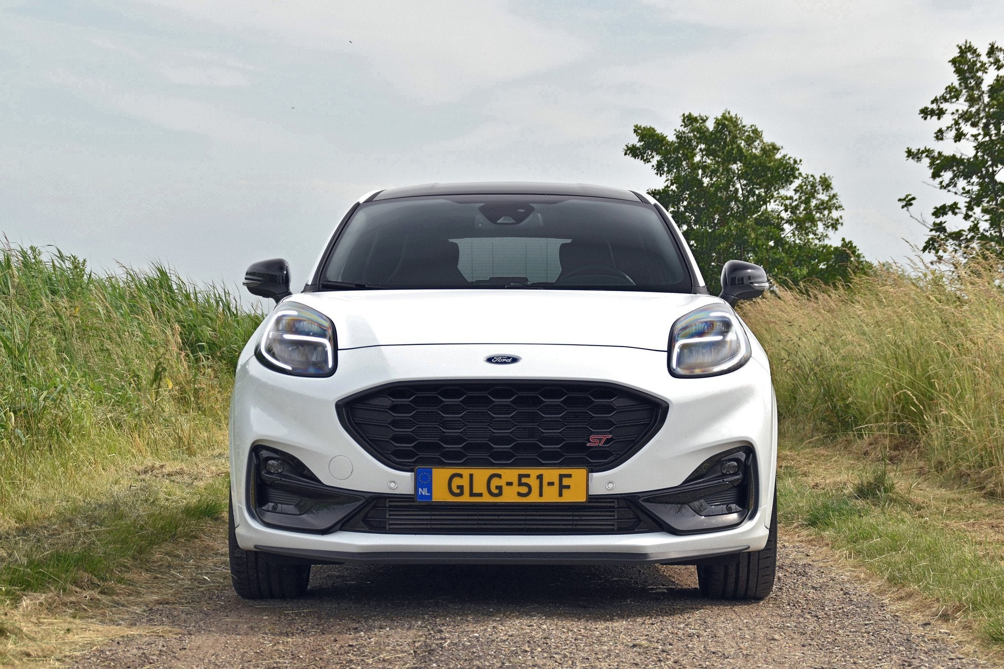 Ford Puma 1.5EB 200pk ST-X, Keurmerk '100% Onderhouden', 15 km/l, Wit, Bedrijf
