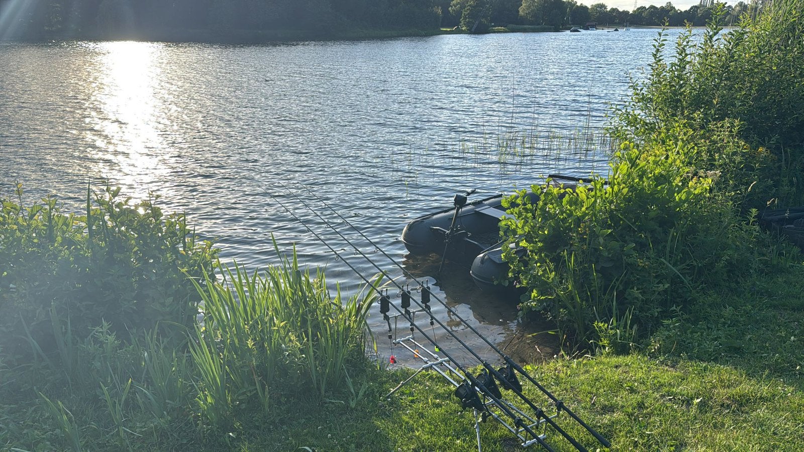 Grote partij karperspullen | Fox, Nash, Korda, Trakker etc., Ophalen of Verzenden, Zo goed als nieuw, Complete set