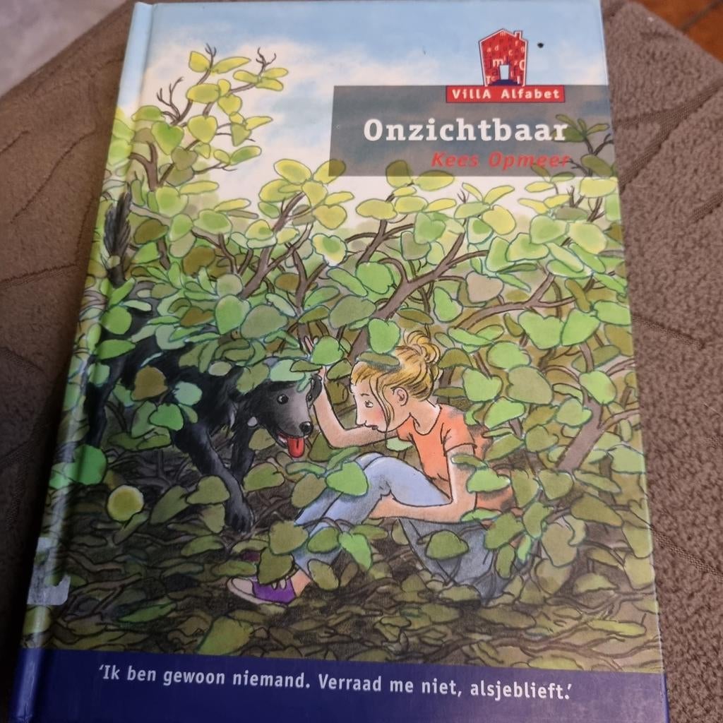 Onzichtbaar - Kees Opmeer - villa Alfabet, Boeken, Ophalen of Verzenden, Gelezen, Kees Opmeer