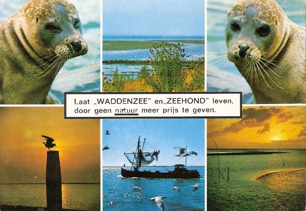 Texel       151a, Verzamelen, Ophalen of Verzenden, Voor 1920, Waddeneilanden