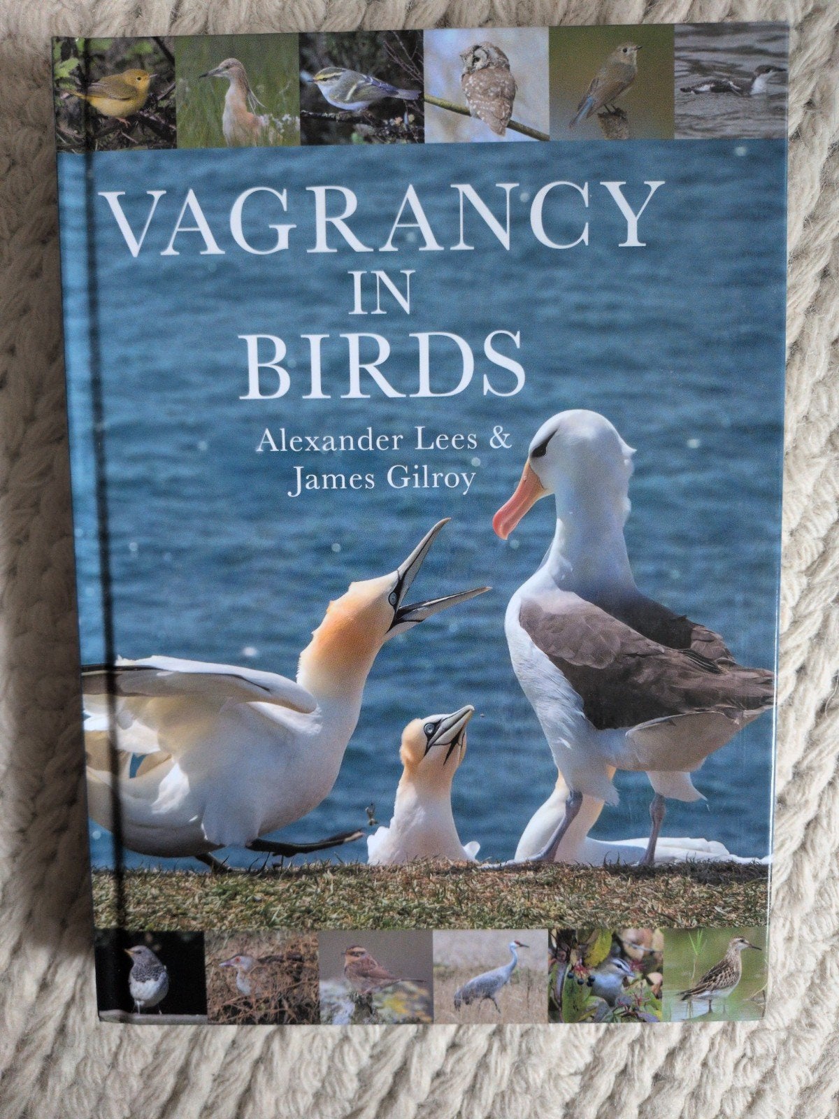 Vagrancy in Birds – Alexander Lees & James Gilroy | Hardcove, Nieuw, Ophalen of Verzenden, Alexander Lees en James Gilroy, Natuurwetenschap