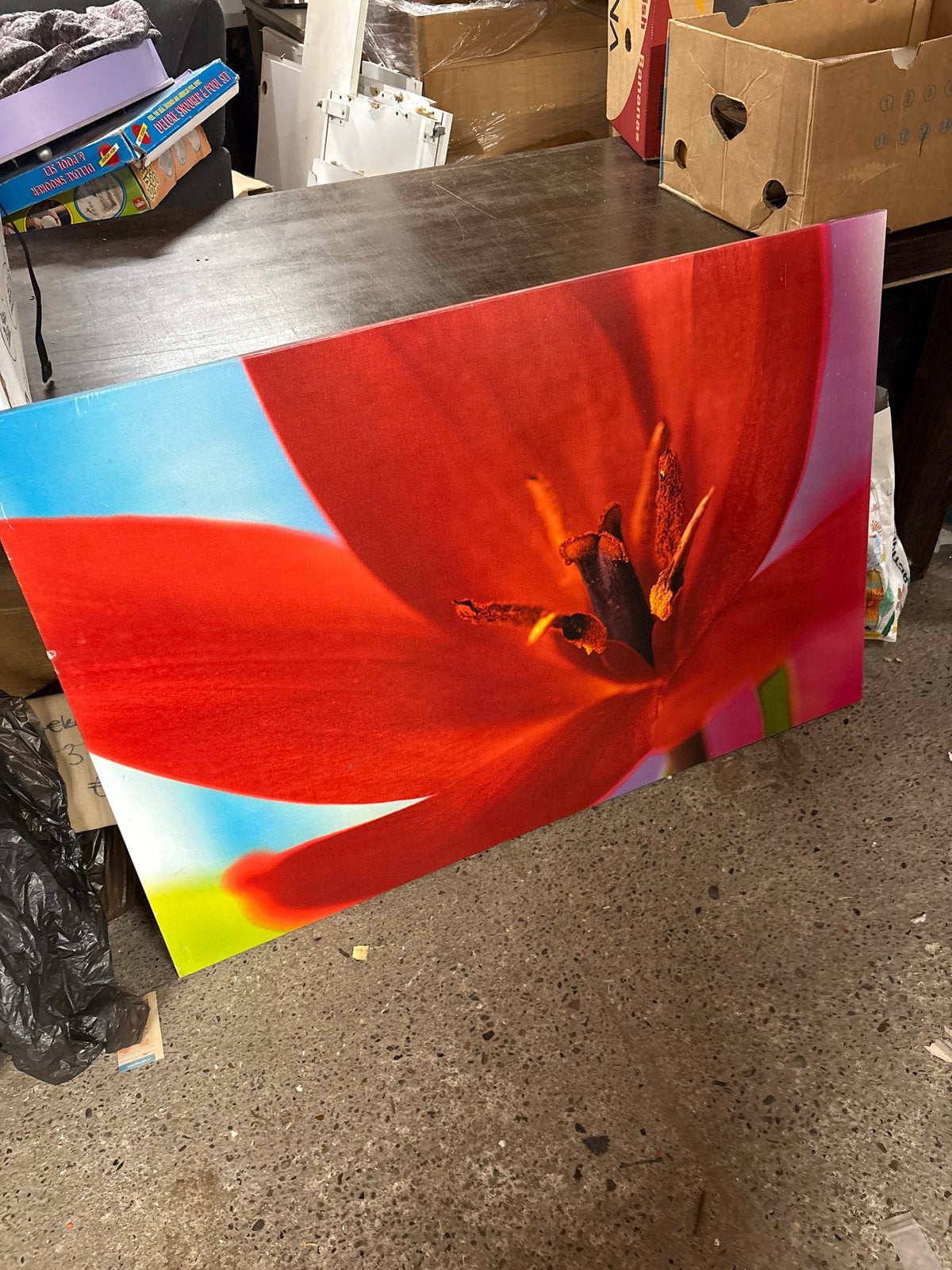 Schilderij rode tulp op canvas, Ophalen, 50 – 75, Gebruikt, Schilderij