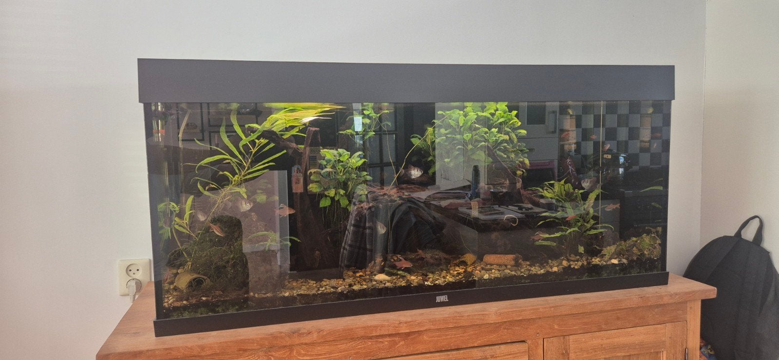 Compleet Juwel Rio 240 aquarium plus teak meubel, Dieren en Toebehoren, Ophalen of Verzenden