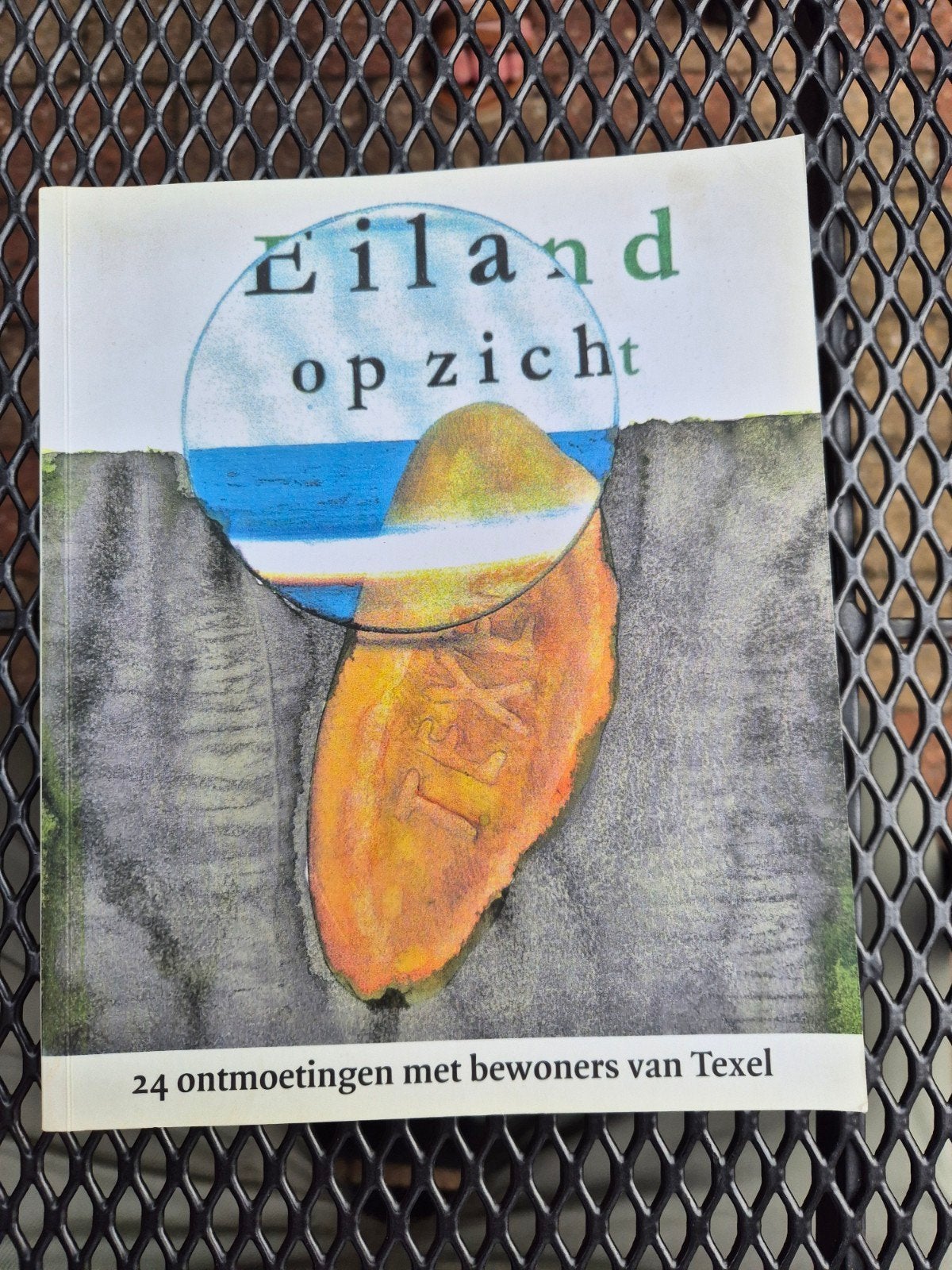 Eiland op Zicht - 24 ontmoetingen met bewoners van Texel, Ophalen of Verzenden, Zo goed als nieuw, Carola Rombouts