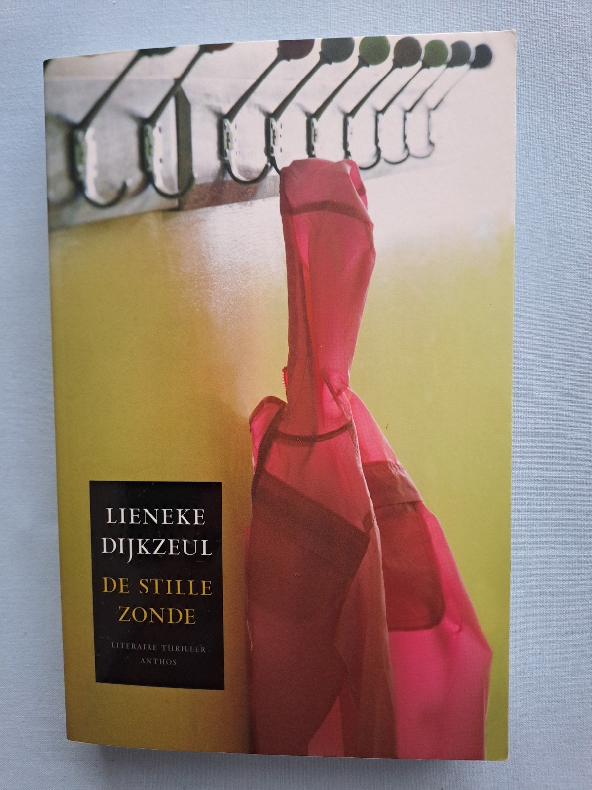 Lieneke Dijkzeul- De stille zonde., Ophalen, Gelezen