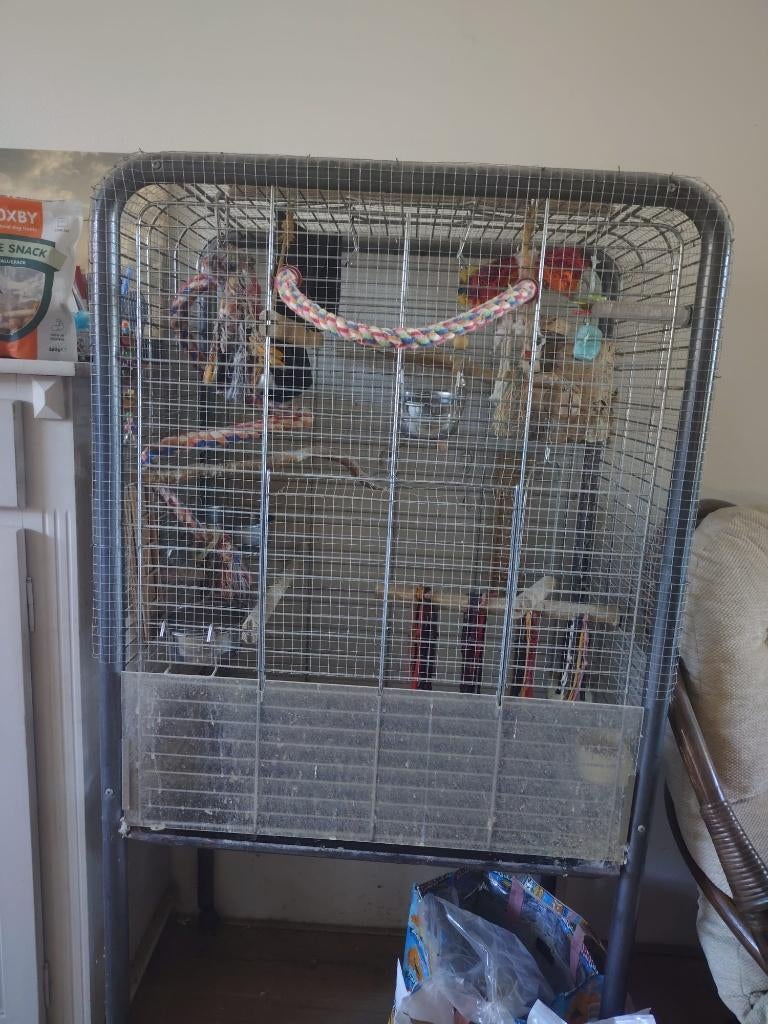 Kamer voliere, Dieren en Toebehoren, Vogels | Hokken en Kooien, Ophalen, Gebruikt, Metaal, Volière