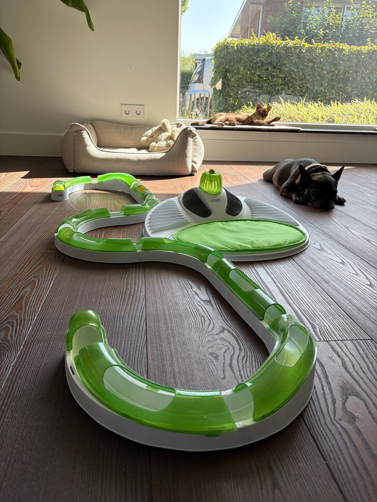 Catit Senses speelcircuit met wellness plaats, Ophalen, Zo goed als nieuw