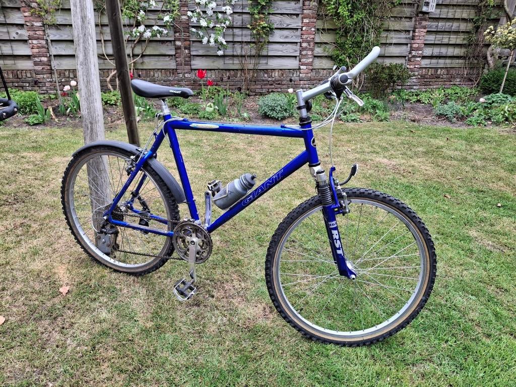 Retro Vintage Giant Mountainbike, Fietsen en Brommers, Fietsen | Mountainbikes en ATB, Ophalen, Gebruikt, Hardtail, 45 tot 49 cm