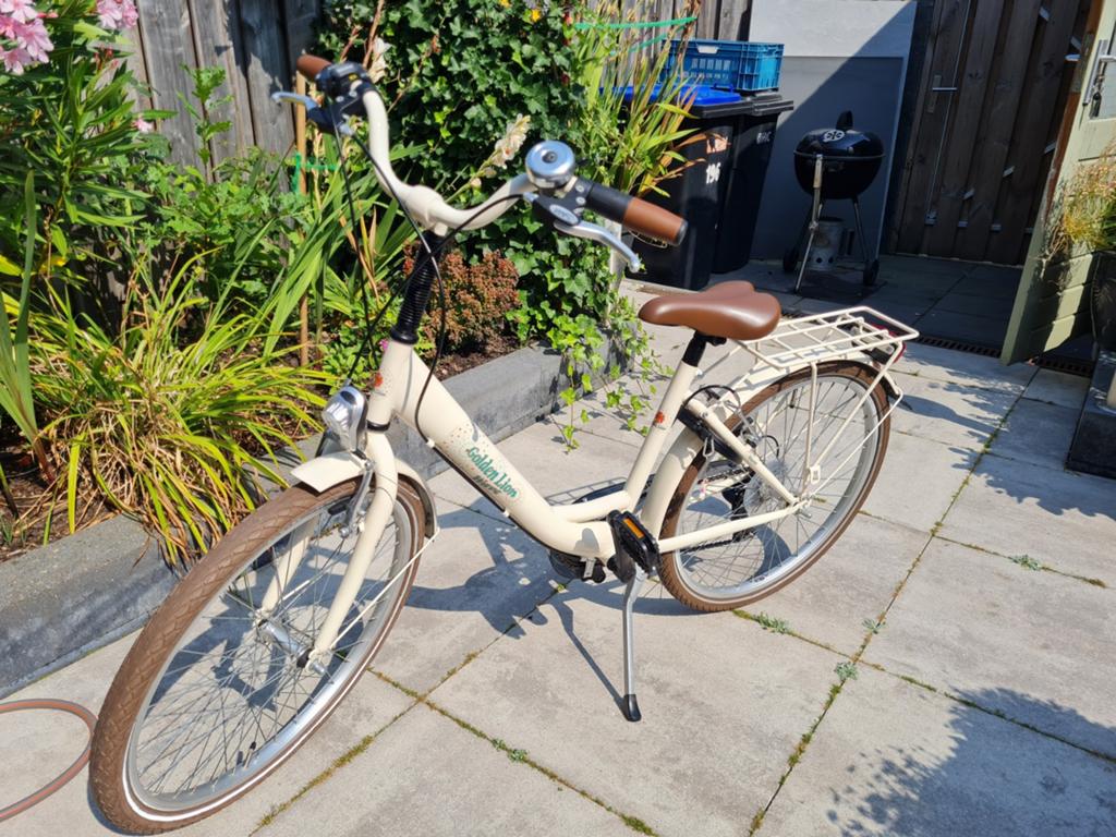 Golden Lion Damesfiets met 6 versnellingen, 53 tot 56 cm, Velgrem, Versnellingen, Zo goed als nieuw