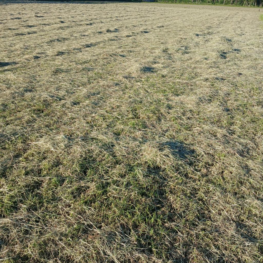 Te koop hooi af land