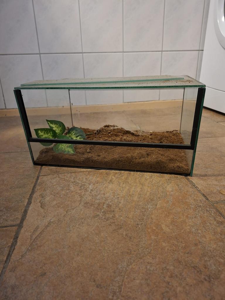 Terrarium 40x30x20, Dieren en Toebehoren, Reptielen en Amfibieën | Toebehoren, Ophalen, Gebruikt, Terrarium of Paludarium