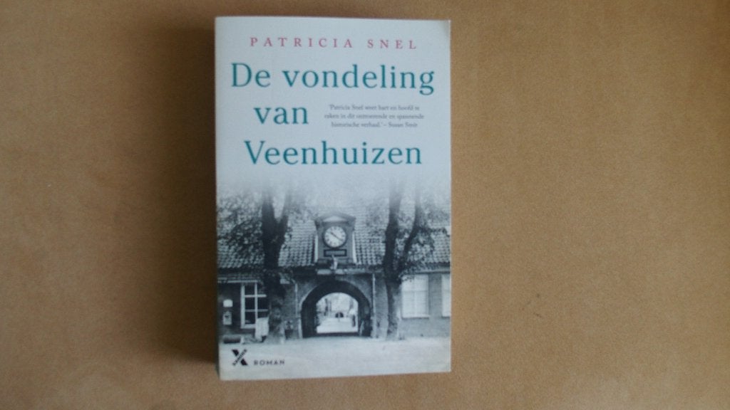 De vondeling van Veenhuizen - Waar gebeurd - Veenhuizen, Ophalen of Verzenden, Nieuw, Patricia Snel, Nederland