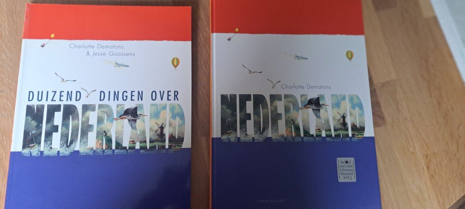 DUIZEND DINGEN OVER NEDERLAND - Charlotte Dematons, Ophalen of Verzenden, 20e eeuw of later, Zo goed als nieuw, Charlotte Dematons & Jesse Goossens