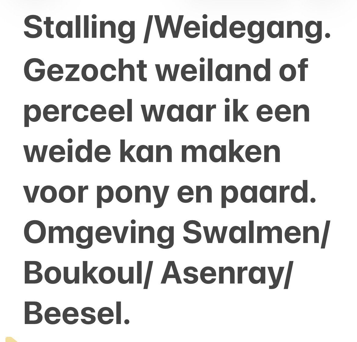 Weiland gezocht, Weidegang, 2 of 3 paarden of pony's
