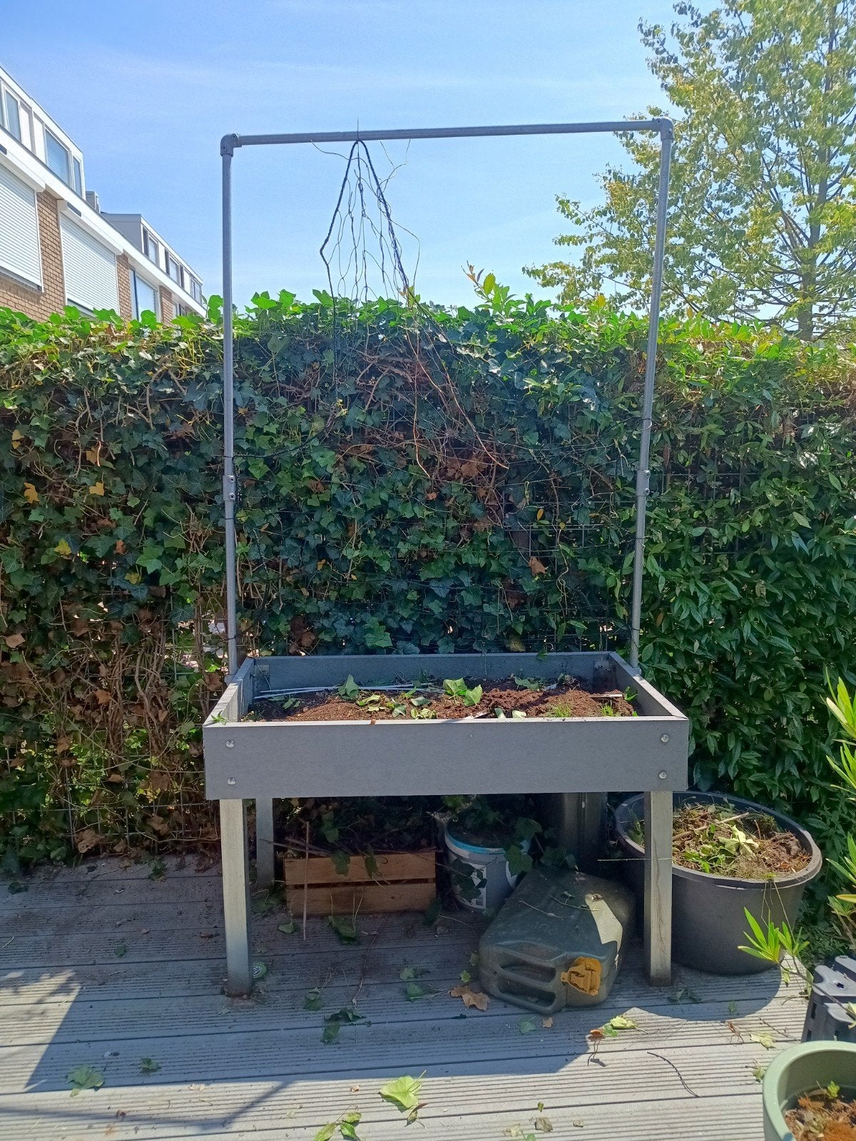 Makkelijke Moestuin MM Hero 8 vakken tafel met klimrek, Ophalen