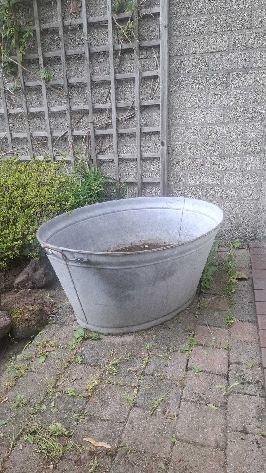 Zinken teil, Tuin en Terras, Ophalen, Zo goed als nieuw, Metaal, 30 tot 60 cm
