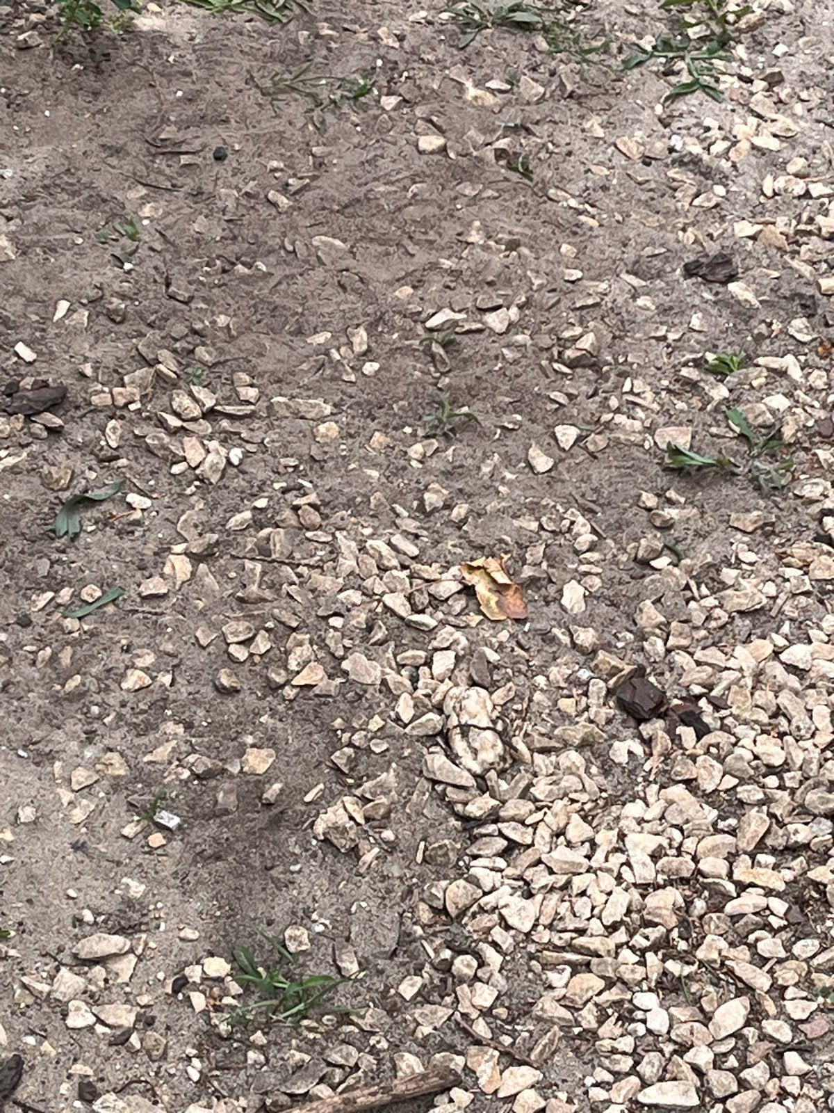0.15 m3 Gebruikt Siergrind of Split met zand, Tuin en Terras, Grind, Keien en Split, Ophalen, Gebruikt, Grijs, Grind