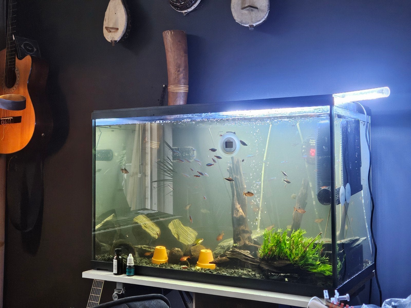 aquarium. Met pomp en verlichting en heel veel visjes, Dieren en Toebehoren, Vissen | Aquaria en Toebehoren, Ophalen, Leeg aquarium