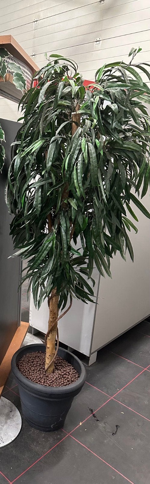 Grote Ficus kunstplant kunstboom, Ophalen, Ficus, Halfschaduw, In pot