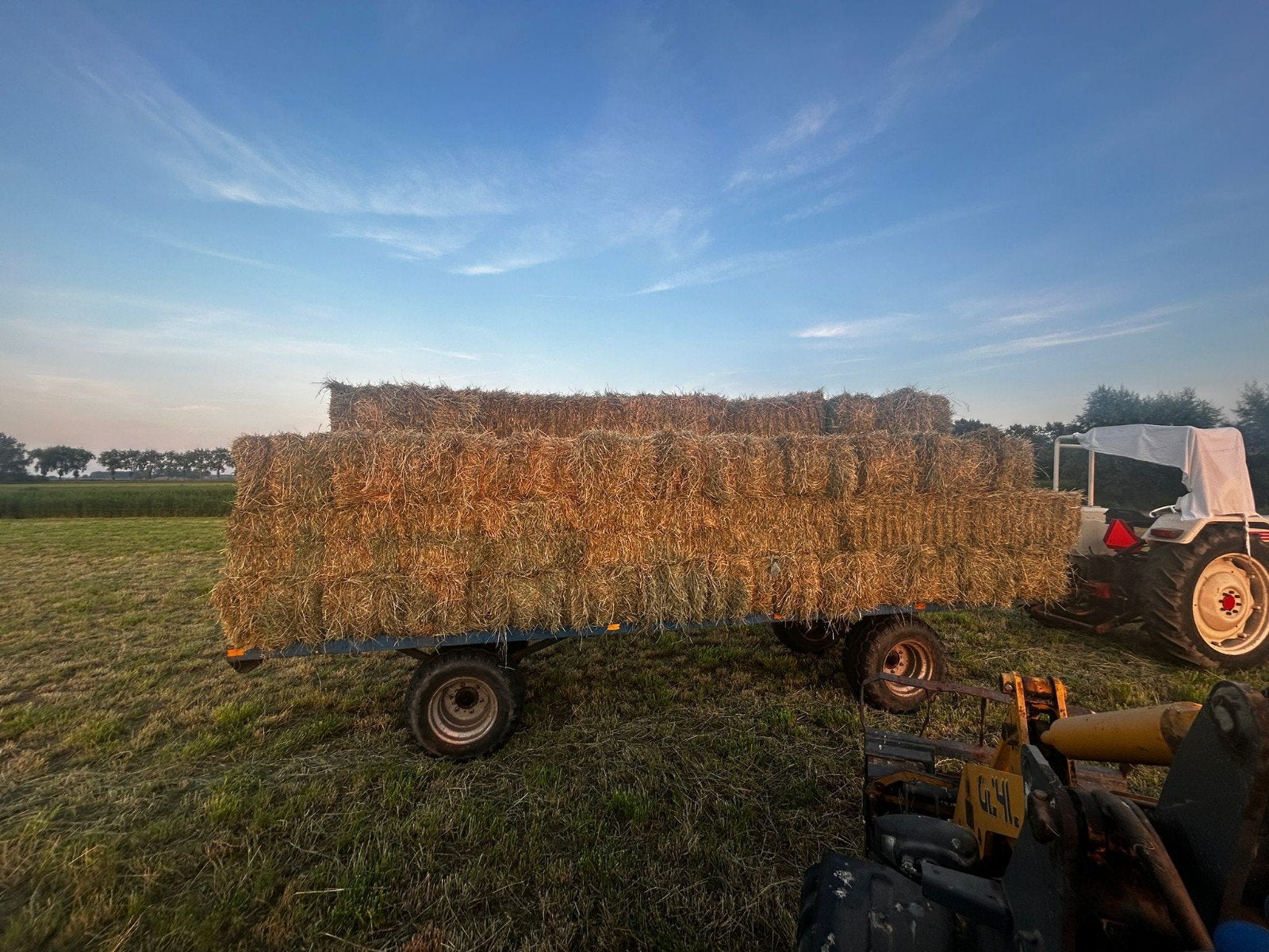 Kleine pakjes hooi 2e snee onbemest land, Ophalen, Vee