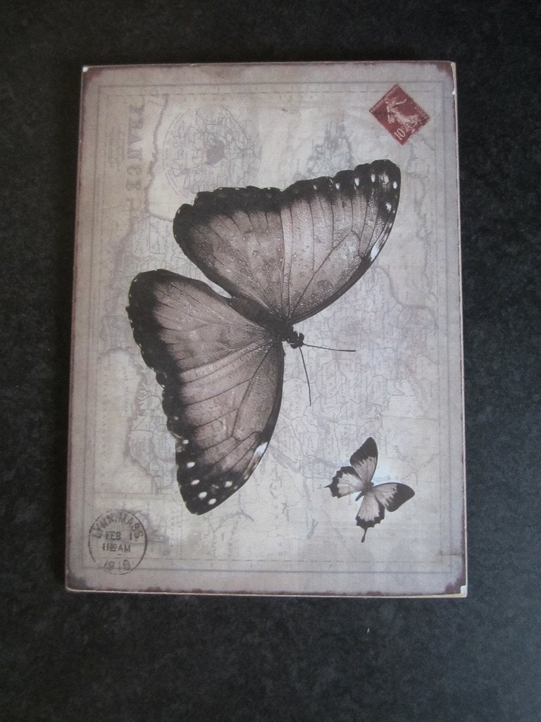 WAND DECORATIE VLINDER IN GRIJSTINTEN 26X36cm, Ophalen, Zo goed als nieuw