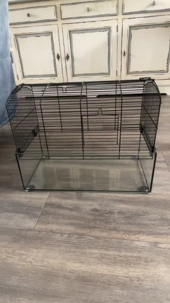 Knaagdieren-/ hamsterkooi glas met toebehoren, Dieren en Toebehoren, Kooi, Gebruikt, Minder dan 75 cm, Muis