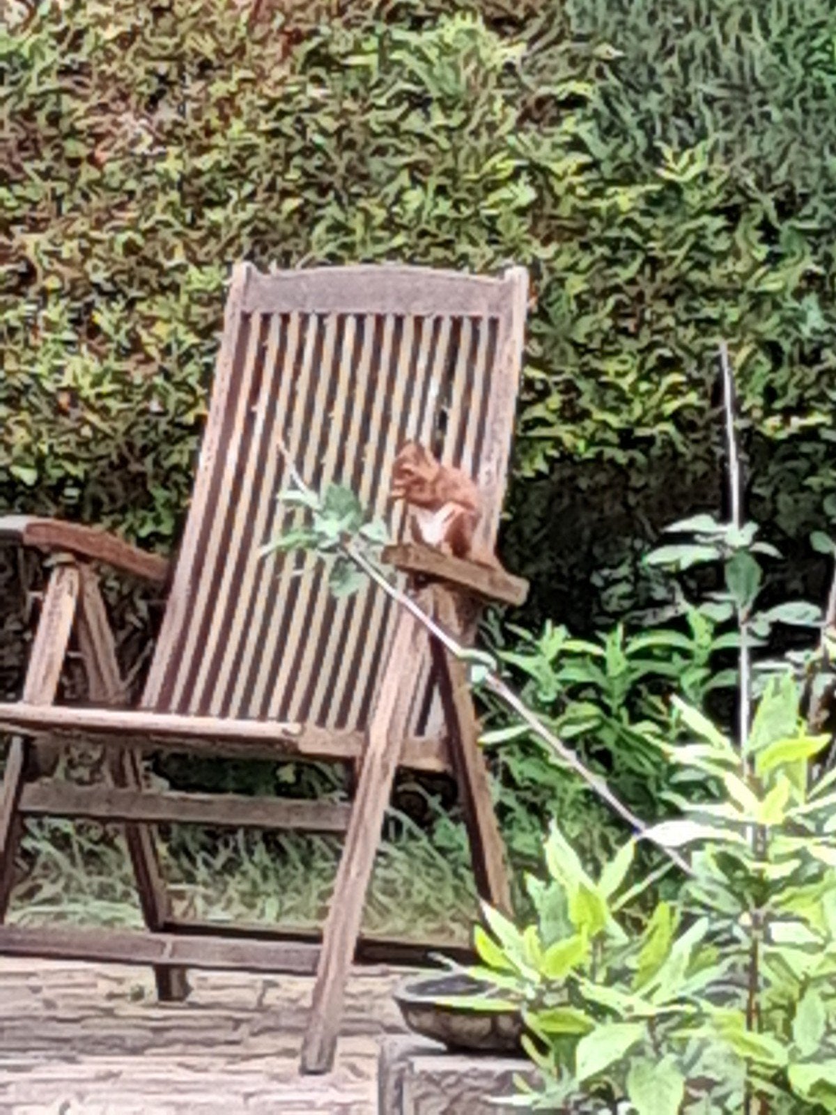 2 hardhouten inklapbare en verstelbare tuinstoelen, Tuin en Terras, Ophalen, Gebruikt, Hout, Inklapbaar