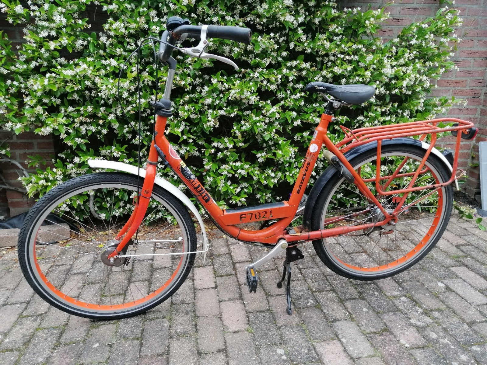 WK Oranje Zuipfiets Batavus Delivery, Ophalen, Versnellingen, Batavus, 53 tot 56 cm