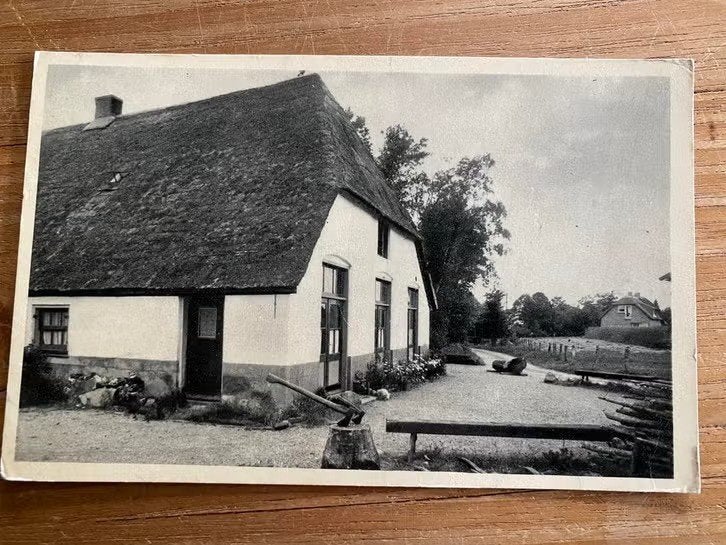 Ansichtkaart : Elspeet- kamphuis “ de korenbloem “ 1951, Verzamelen, Ophalen of Verzenden, 1940 tot 1960, Utrecht