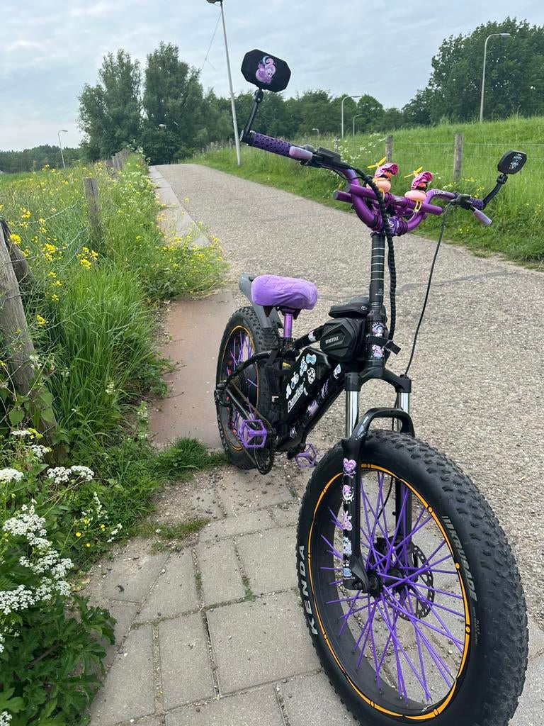 Fatbike 26 inch - Unieke paarse accenten, Overige merken, Gebruikt, Versnellingen, Schijfrem