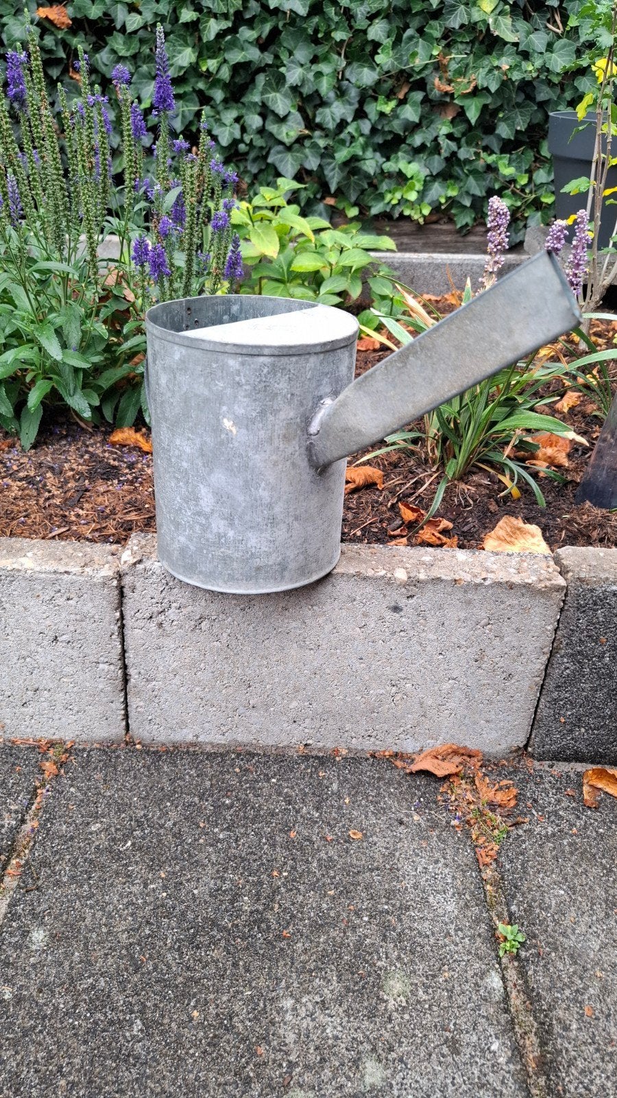 Een zaadgieter, Dieren en Toebehoren, Ophalen of Verzenden, Gebruikt, Eten en Drinken