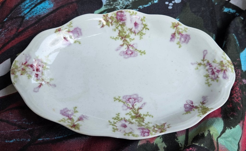 Antieke Mignon Z.S. & Co. Bavaria schaal, bloemmotief, 21,5, Gebruikt, Ophalen of Verzenden, Schaal of Schalen, Overige stijlen